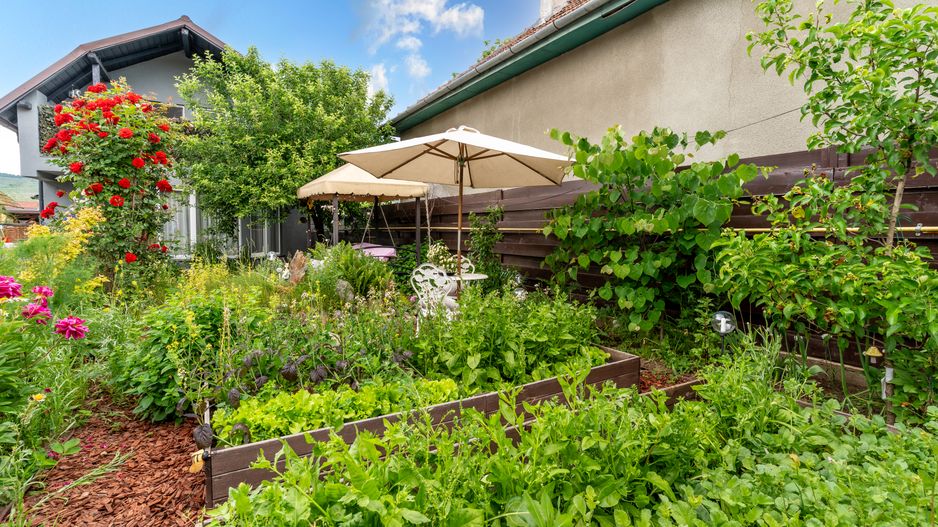 Casa individuala | 4 camere | 470 mp teren  | Avram Iancu, Floresti - Poză 4