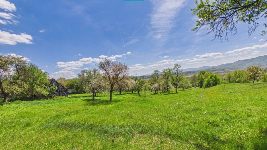 Proprietate rară cu 24.270 mp, în Măgulicea, Arad! - Poză 23