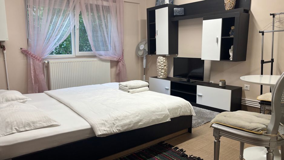 Vand garsoniera ,afacere booking /carpati 2 - Poză 5