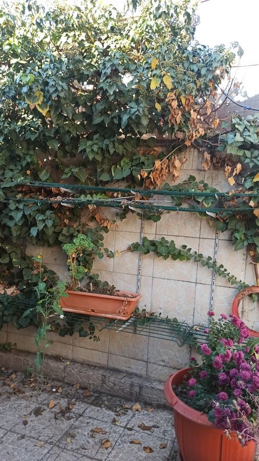 De vanzare Casa individuala singur la curte, Mihail Sebastian, CENTRAL - Poză 6