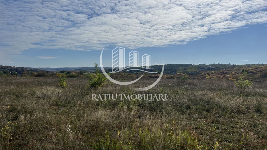 Teren intravilan 3961 MP | Paleu | Bihor - Poză 5