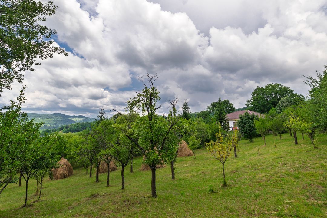 Casa moderna si casa bunicii + 6300 mp teren,Oaza autentica in Corbi Arges- - Poză 17