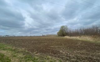 TEREN INTRAVILAN | 50 ARI | ZONA PERIFERICA RADAUTI - Poză 3