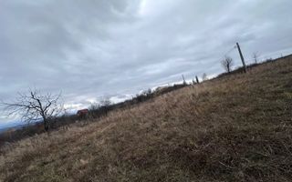 Teren de vânzare | Sibiu, Daia | 1.000 mp | utilități - Poză 2