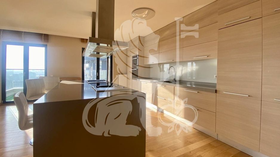 Penthouse Upground | Splendid View | Pipera | Barbu Vacarescu | Tei - Poză 6