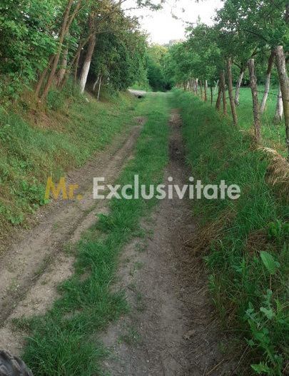 Teren extravilan Pitesti - str. Balotesi!! - Poză 5
