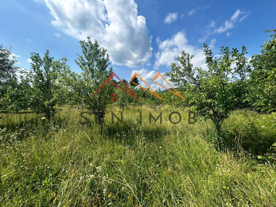 Teren intravilan 1919 mp, central, plat, dreptunghic, Cornu, Prahova - Poză 6