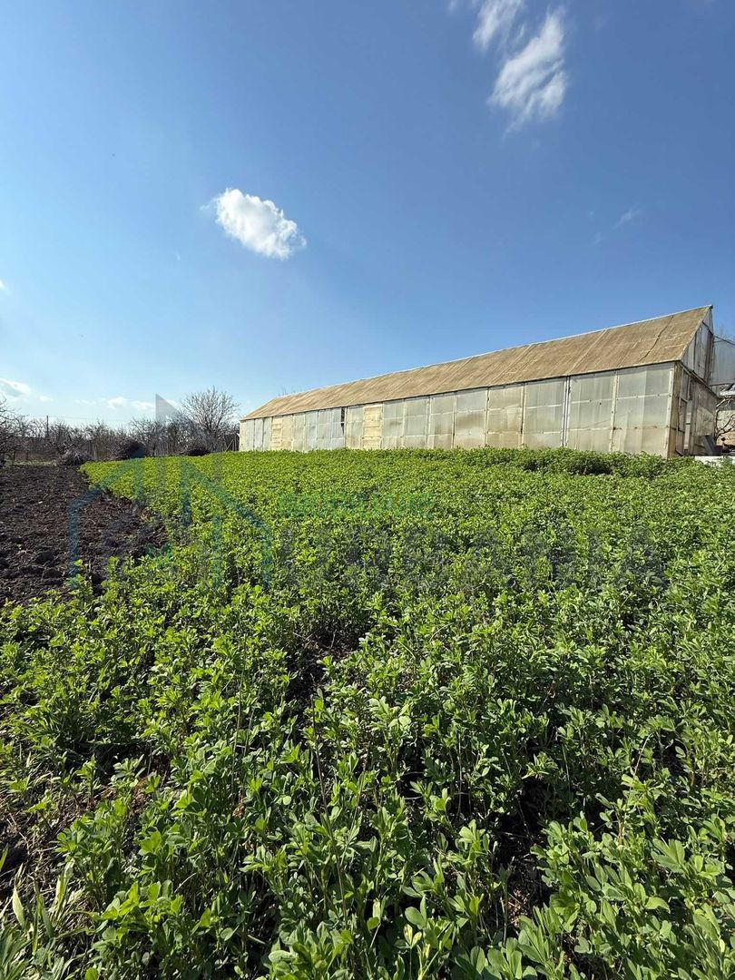 Teren cu seră și vie, Belcești, Iași - Poză 6