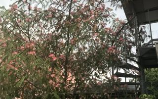 URGENT!, teren cu dubla deschidere,  casa reconditionata, NEGOCIABIL - Poză 2