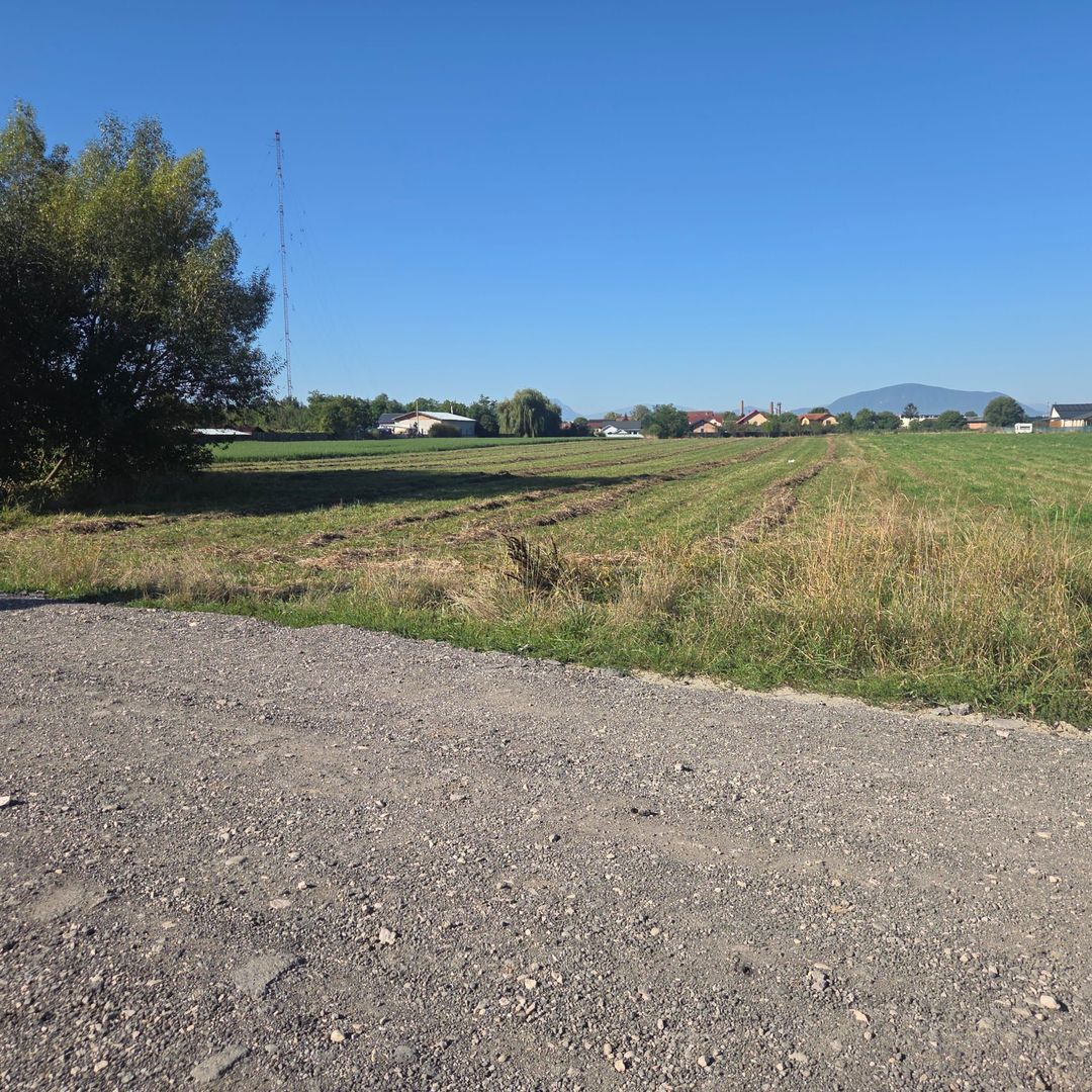 Teren Bod Colonie,strada Lalelelor - Poză 5