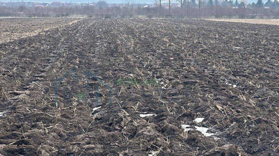 Teren Dancu deschidere la doua drumuri - Poză 7