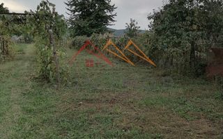 Casa rustica 3 camere, 4000 mp teren, cabana din lemn, pomi fructiferi - Poză 16