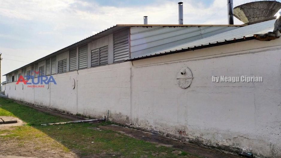 COMISION 0% - HALE Calinesti Arges - Poză 43