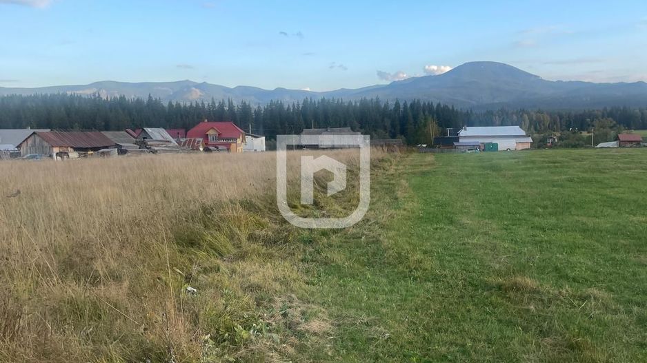 Teren intravilan  – Poiana Stampei 🌲 - Poză 2