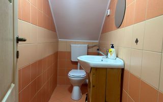 Casă de vacanță în Râu Sadului - Poză 6