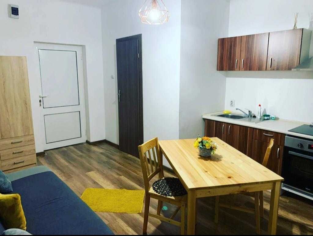 Garsoniera de inchiriat la 5 min de UMF - Poză 1