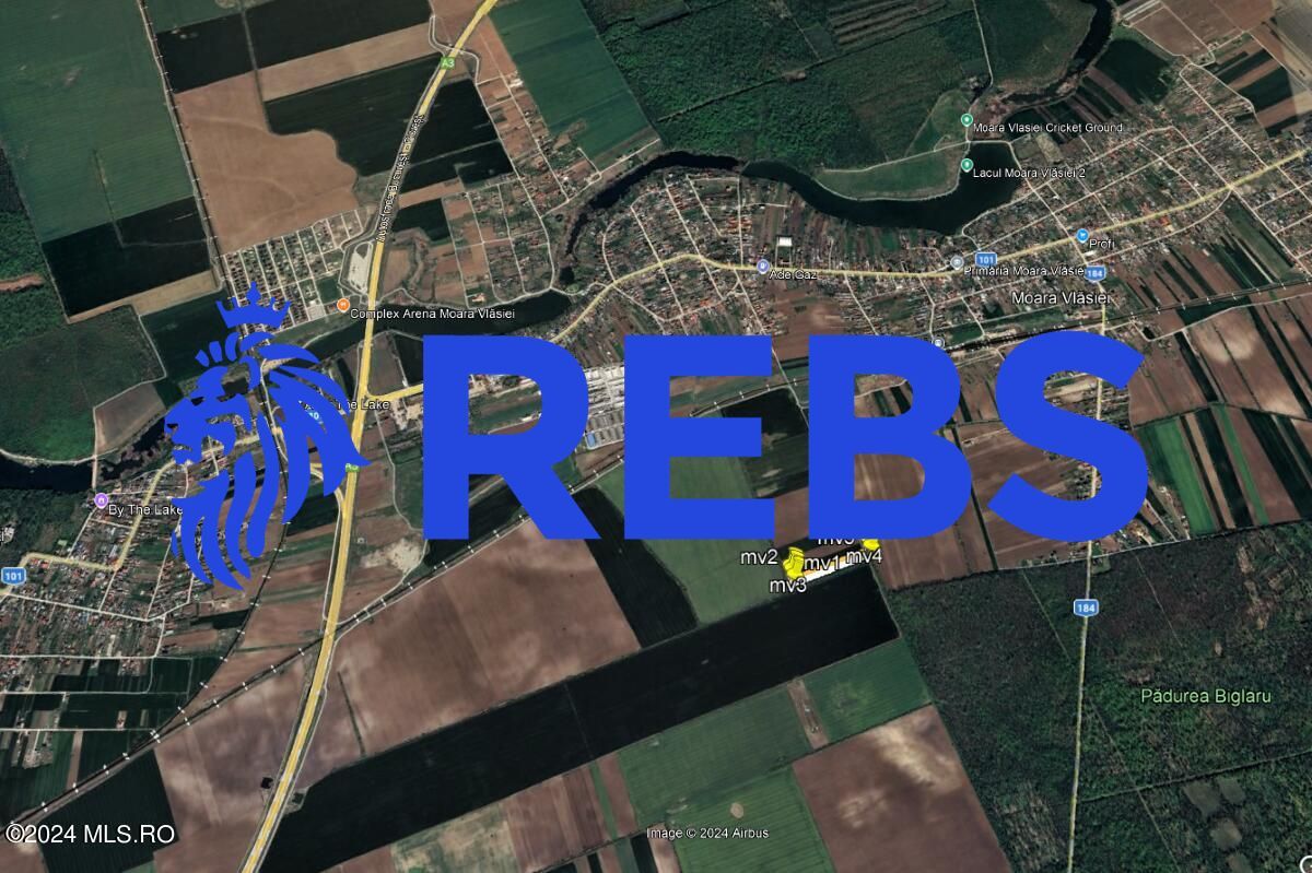 Moara Vlasiei - langa Padurea Biglaru, 11.884 mp, deschidere 40 ml - Poză 15