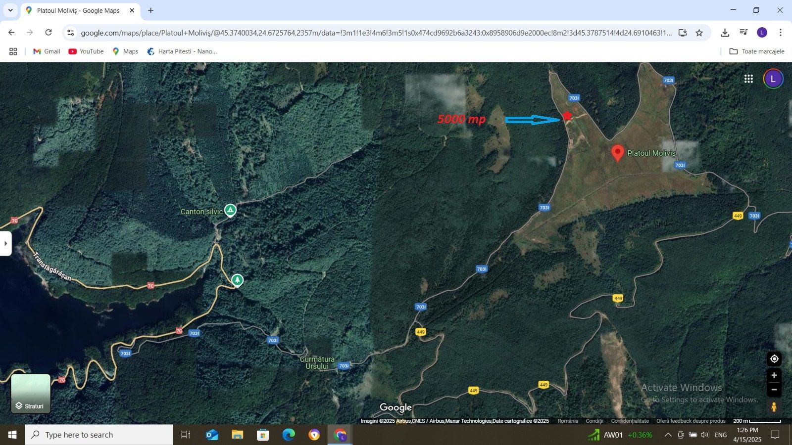 Vanzare teren 5000 mp Transfagarasan - Molivis - Poză 4