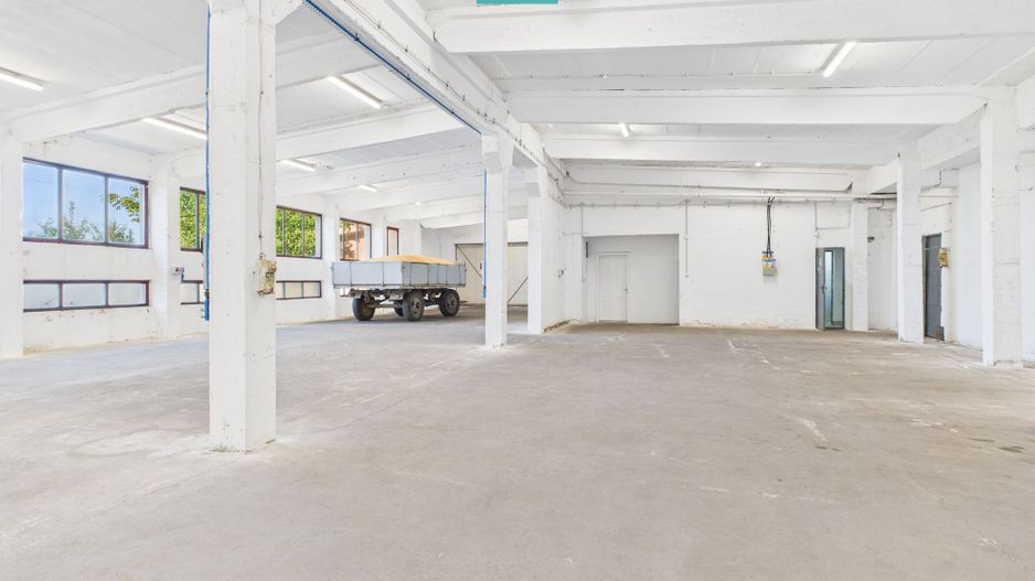 Hală industrială cu multiple destinații în Nădlac - Poză 4