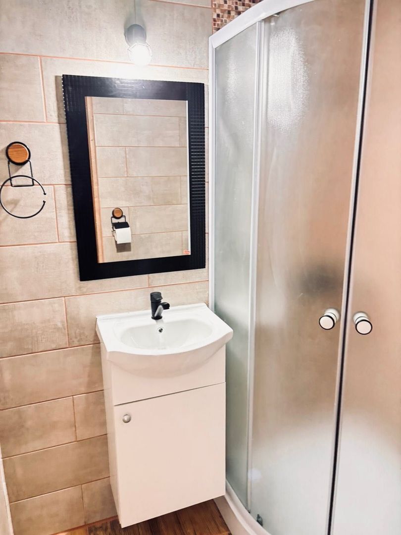 Calea Buziasului | 1 Camera | Recent renovat | Disponibil imediat - Poză 7