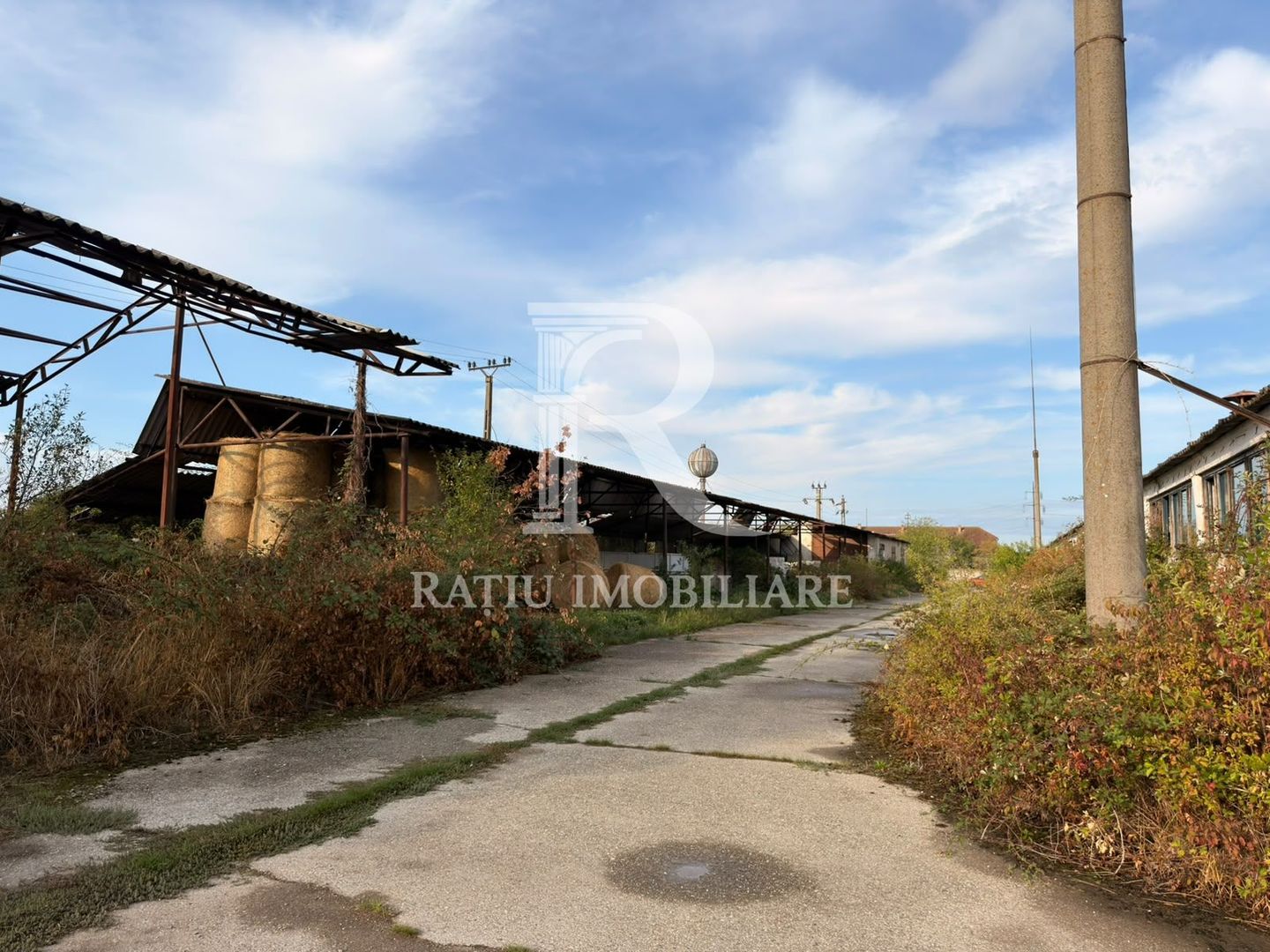 Fermă Sărand | Bihor | 25.659 mp teren intravilan - Poză 26