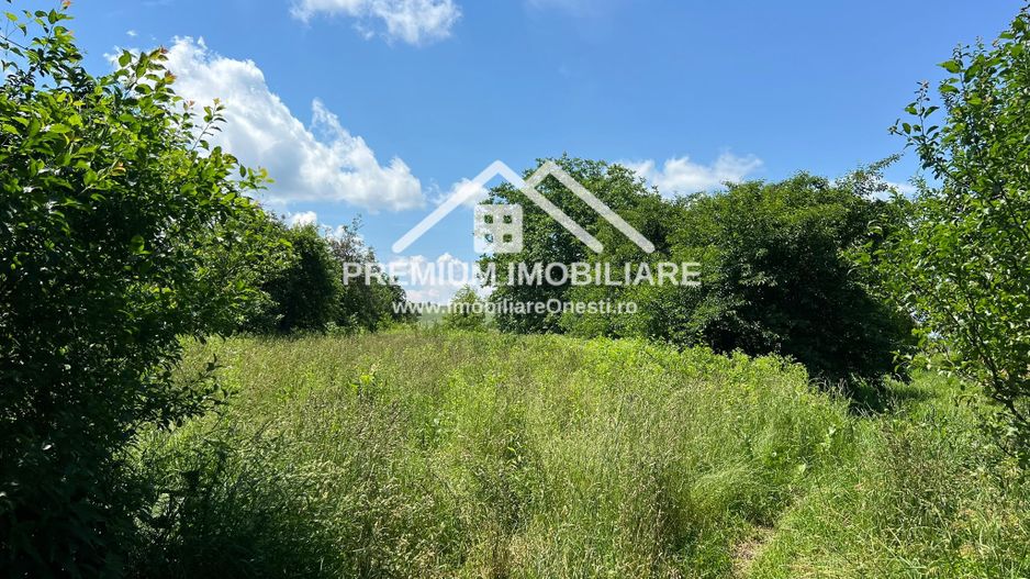VANDUT! Teren 1400 mp in Buciumi - Poză 3