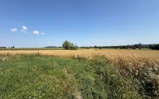 Teren intravilan de vânzare | Horodnic de Sus | 77 ari - Poză 5