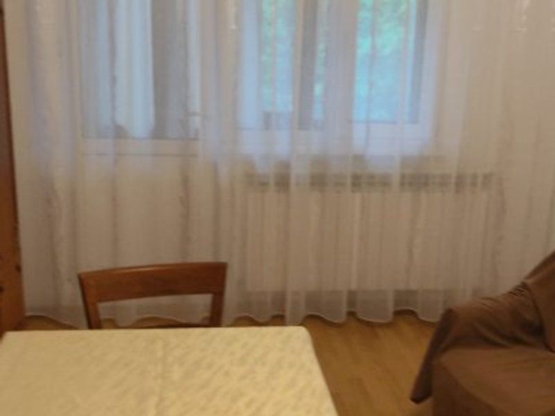 Apartament cu 2 camere decomandat -  Piata Centrala - Poză 3