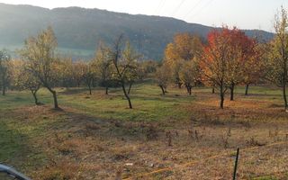 TEREN INTRAVILAN 10385 MP, MARCUS, CAMPULUNG - Poză 1