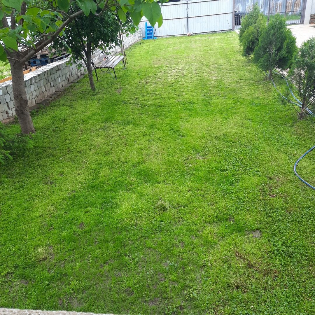 Casă individuală 5 camere,Bălăceanca,Cernica - Poză 6