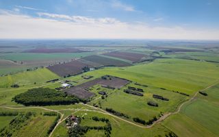 Teren de 69188 mp în Seceani - Poză 5