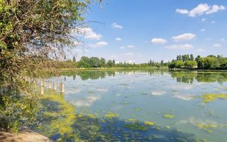 Apartament 3 camere  Floreasca Laguna Residence - Poză 16