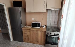 Apartament 1 camera 41 mp utili pivnita si balcon inchis Turnisor - Poză 3