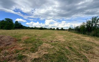 DOUĂ CORPURI DE CASĂ TEREN INTRAVILAN 6997 MP BUGHEA DE SUS ARGEȘ - Poză 8