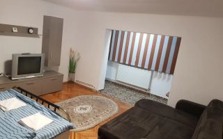 COMISION 0% | Apartament 1 Camera | Zona Freidorf | Parter Inalt - Poză 1