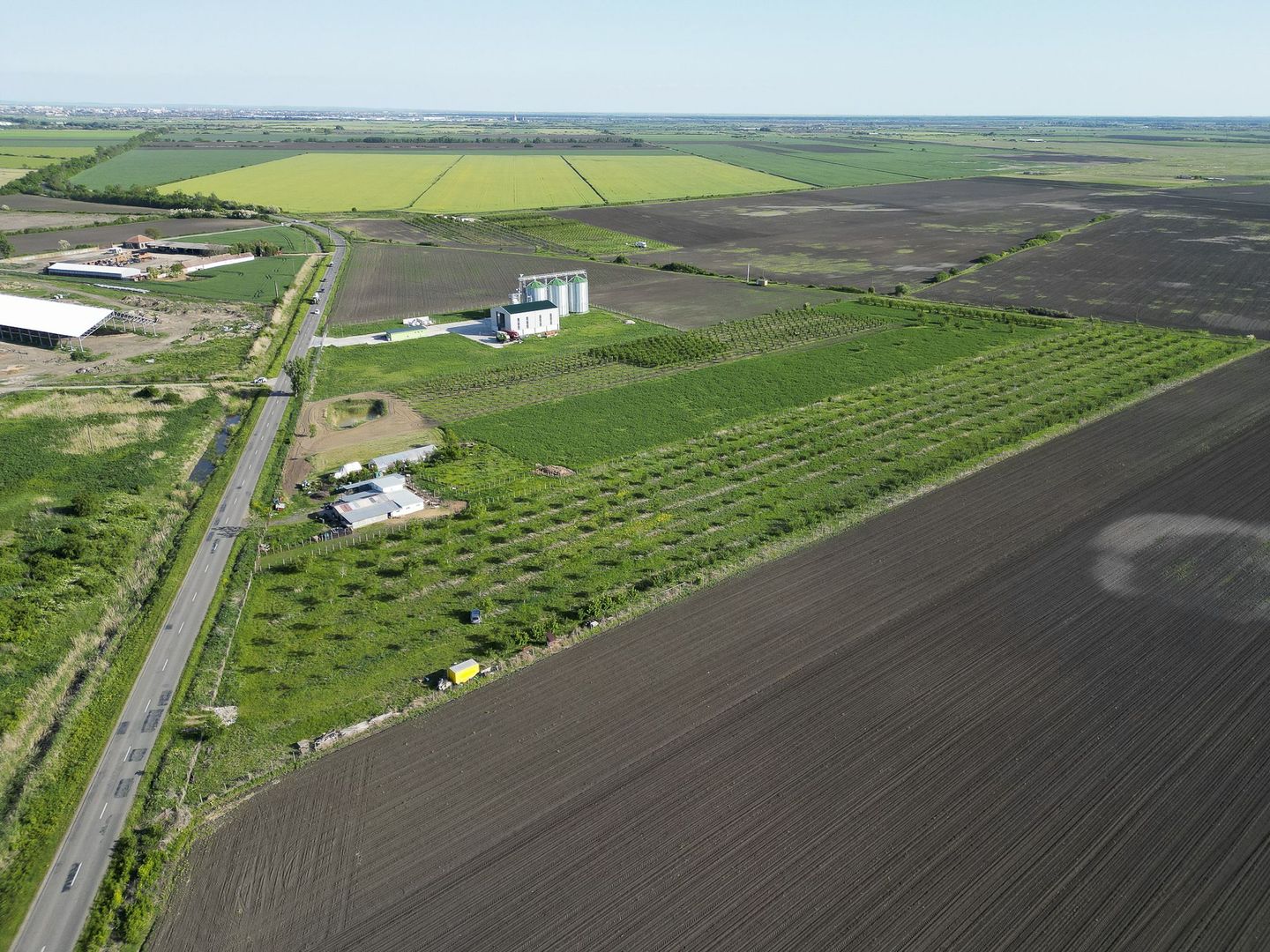 Livadă de nuci și pruni 2.4ha în Variașu Mare - Poză 8