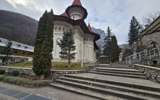 Casa de vacanta cu potential de Pensiune Turistica, Ramet - Poză 18