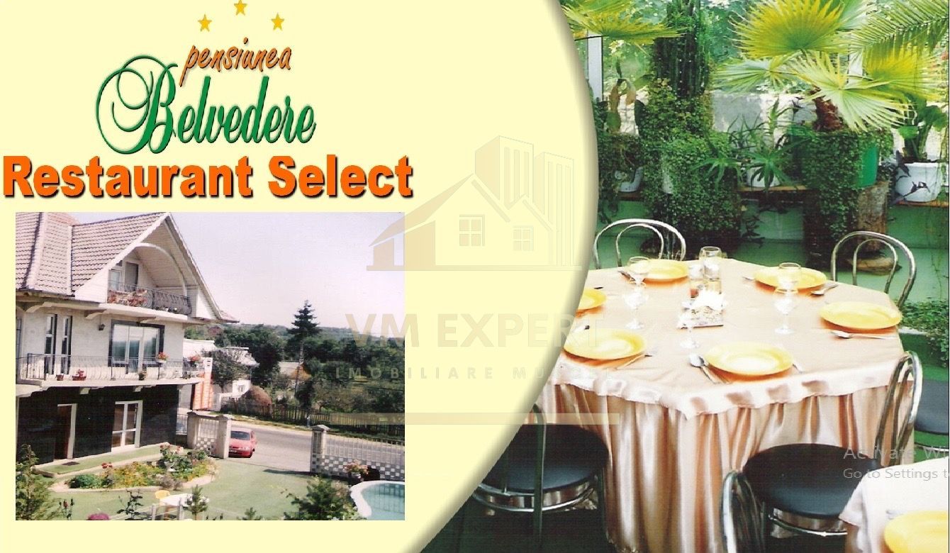 VILA - PENSIUNE CU RESTAURANT + SI TEREN 6406 MP, VALEA MARE PRAVAT, - Poză 4