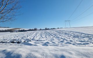 FĂRĂ COMISION | TEREN 6695 MP ÎN ȘURA MARE - Poză 8