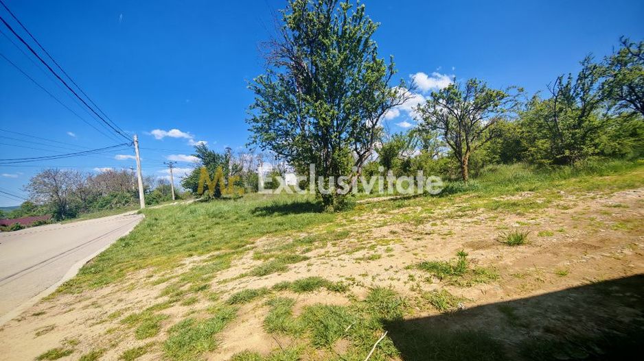 Teren intravilan 2.000 mp in Mioveni – Ideal pentru casa sau investitie! - Poză 3