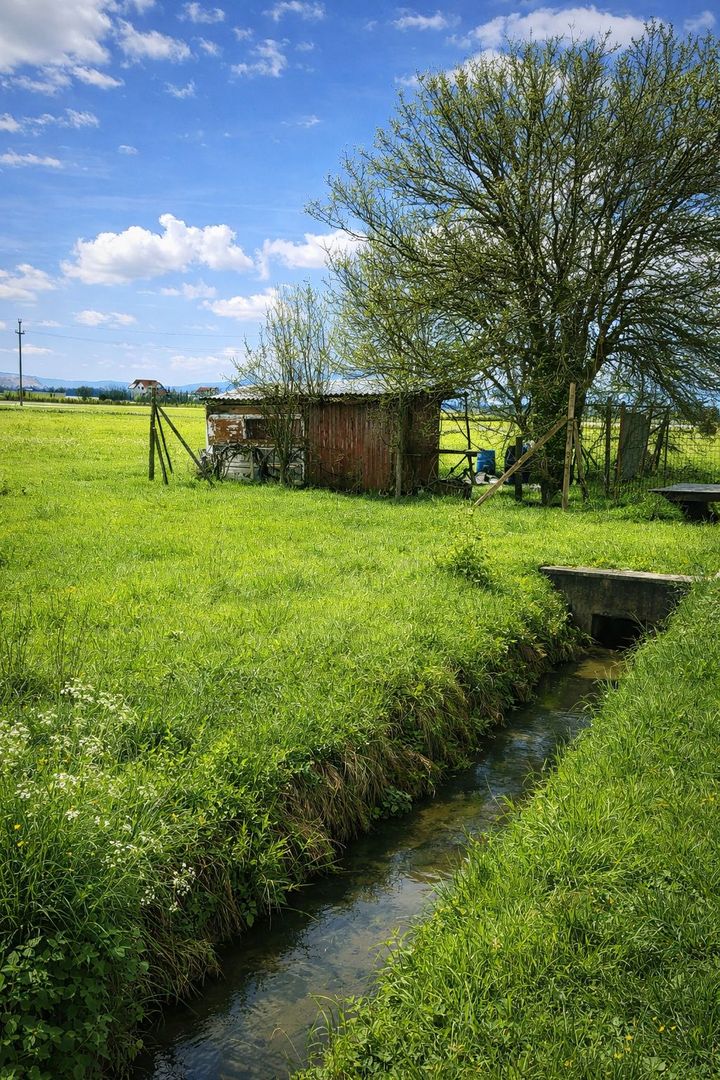 Teren intravilan 990 mp – Curteni, toate utilitatile - Poză 2