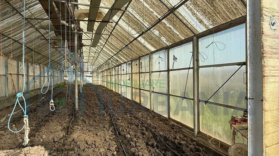 Teren cu seră și vie, Belcești, Iași - Poză 7