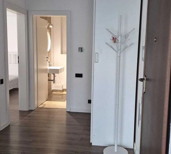 AP. 2 CAMERE- DRISTOR, PARCARE, CENTRALA, TERASA 30 MP, MODERN - Poză 5