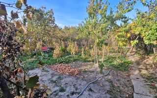 Vanzare casa cu teren 1800 mp, Pitesti str Bananai, la intrare - Poză 21