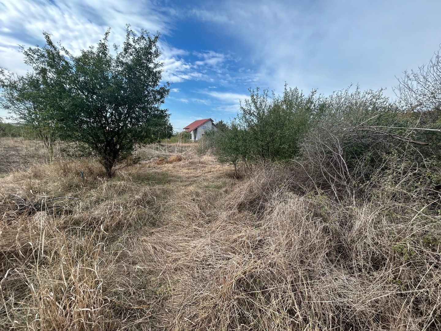 COMISION 0 | Teren intravilan | 945mp | Sacalaz Vest - Poză 8