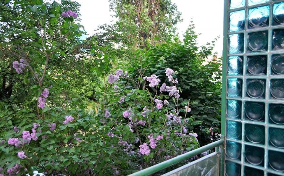 Apartament cu 2 camere, complet renovat, zonă Centrala. - Poză 1