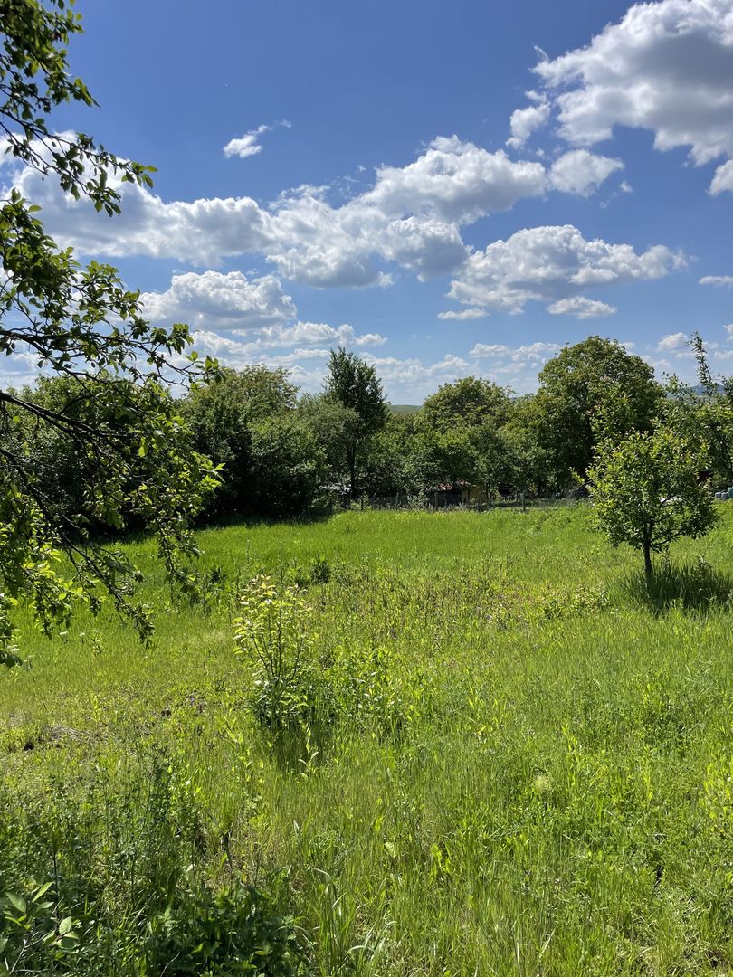 Casa in Comuna Geaca - Poză 21