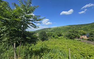 Casă cu teren de 1,4 hectare și vie, în Raducaneni - 3 camere - Poză 7