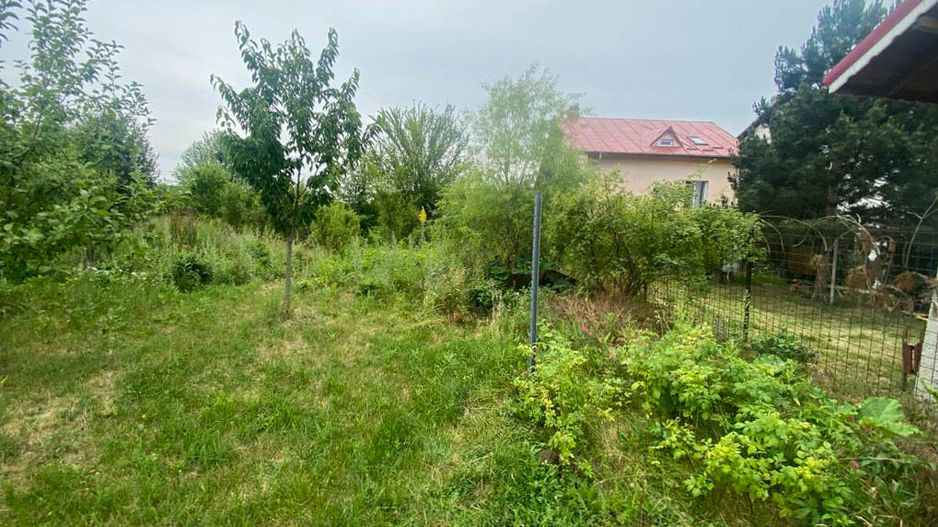 Teren Intravilan de vanzare 3778 mp Branesti Strada Violetelor - Poză 12