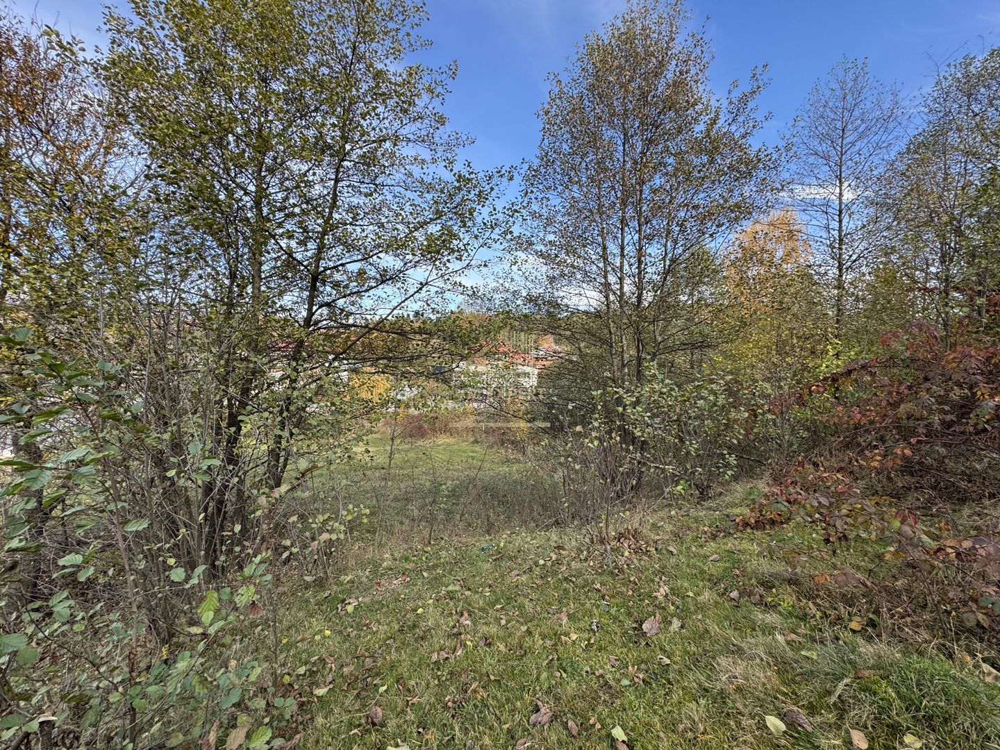 TEREN INTRAVILAN 13167 MP BUGHEA DE SUS ARGES - Poză 6